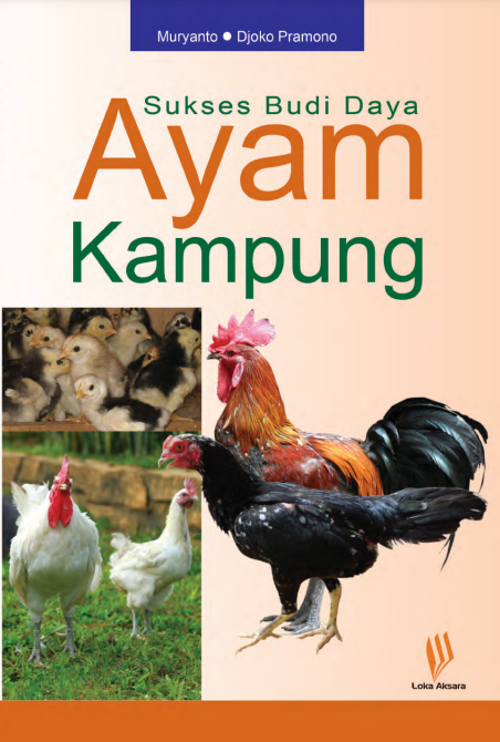 Sukses Budi Daya Ayam Kampung